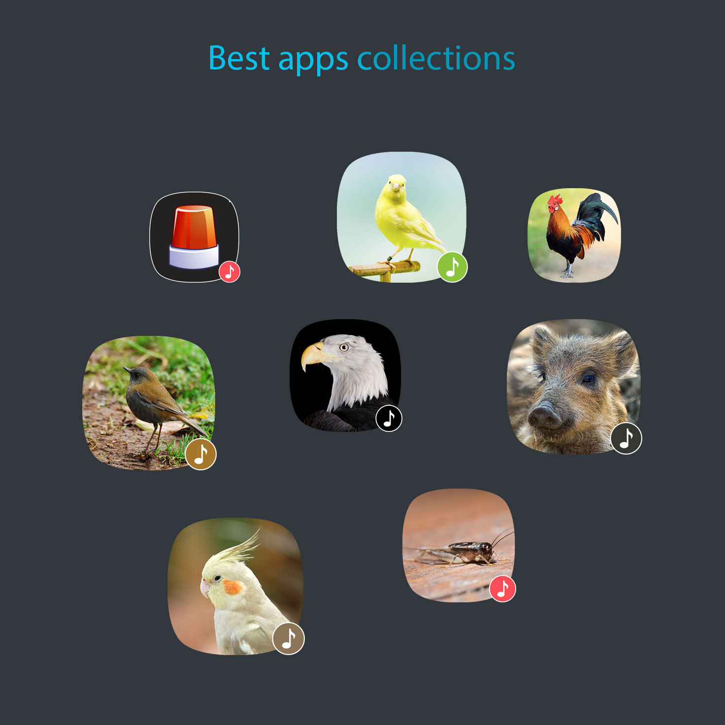 Best apps collections